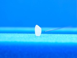 φ0.5×φ0.3　極細βチタンパイプ