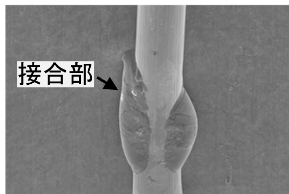 Φ100 ㎛の引張試験前のSEM画像