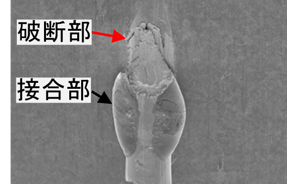 Φ100 ㎛の引張試験後のSEM画像